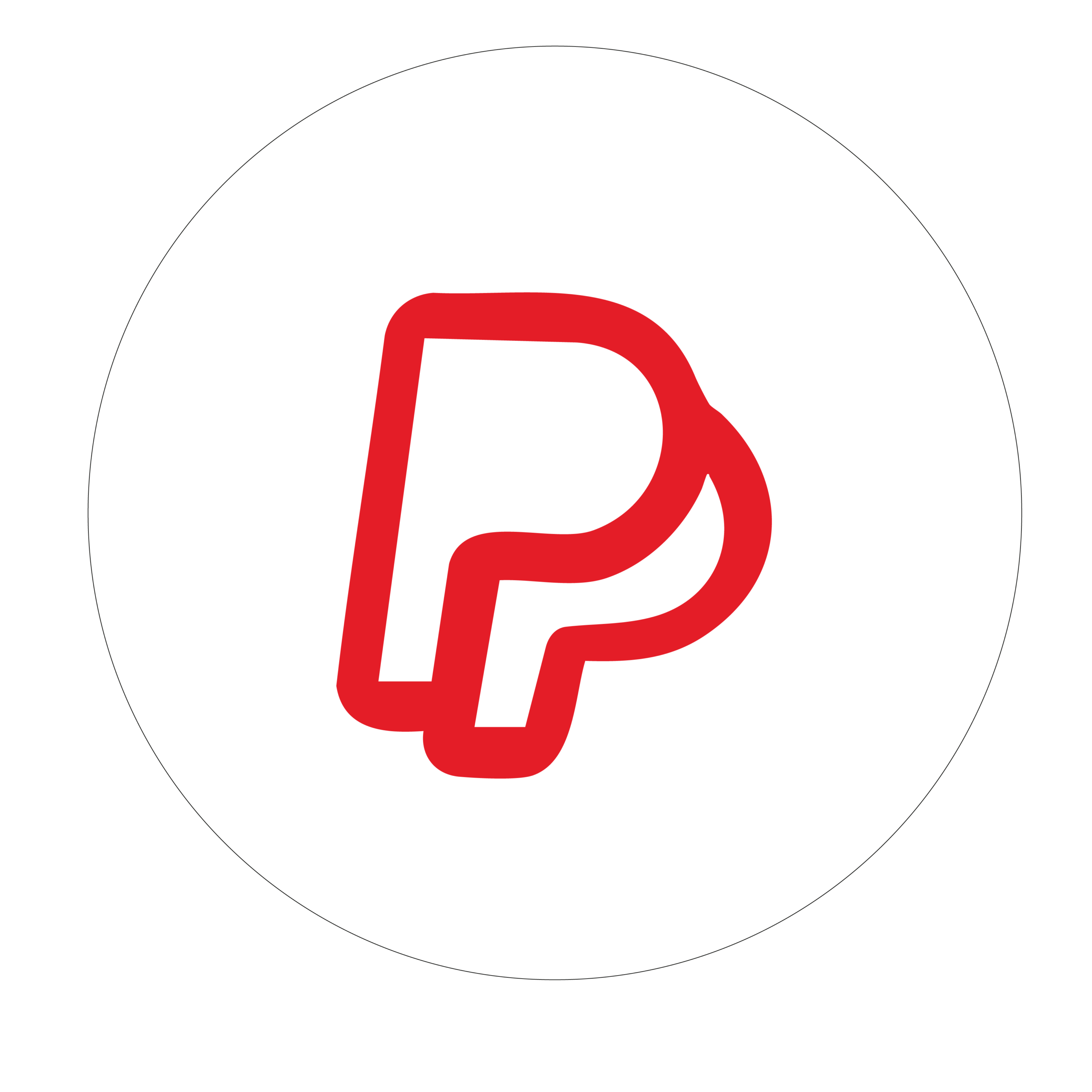 JETZT KAUFEN SPÄTER ZAHLEN MIT PAYPAL